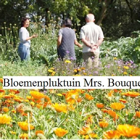 Herkenhoek 5 Bedroom